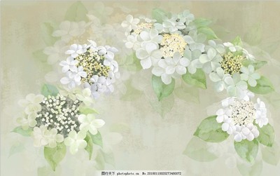 花卉插畫(huà)與苗木 藝術(shù)與自然的詩(shī)意交融
